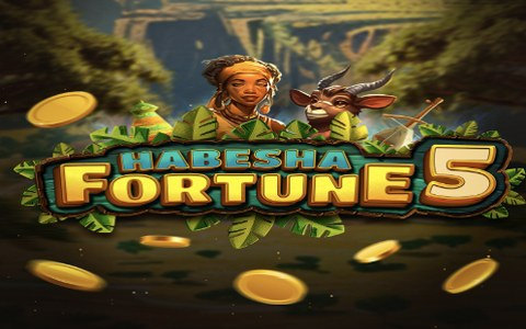 Habesha Fortune 5